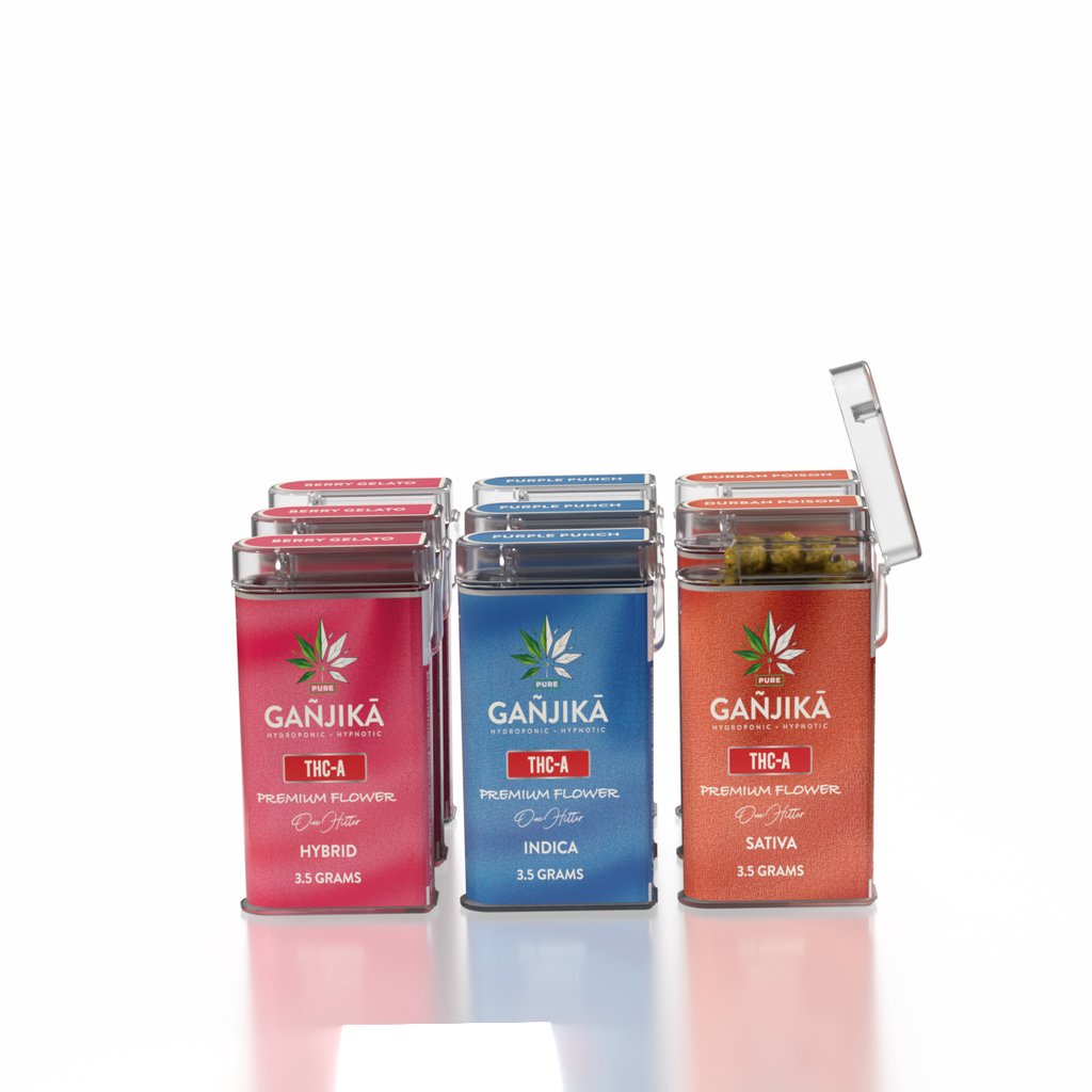 GANJIKA FLOWER THC-A 3.5G 1CT/10PK 